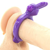 Ultimate Rabbit Vibrating Cock Ring in Purple