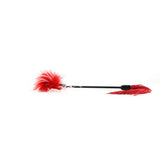 Whip & Tickle in Red and White