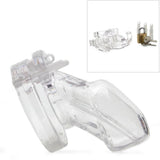 CB-3000 Male Chastity Device in Clear