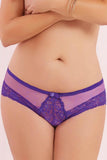 Violet Polka Dot Mesh and Lace Panty in 1X/2X