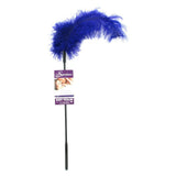 Ostrich Feather Body Tickler in Purple