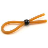The Lasso