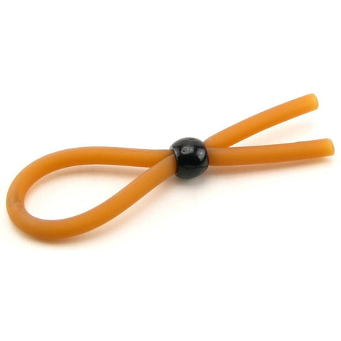 The Lasso