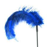 Ostrich Feather Body Tickler in Royal Blue