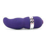 Rock Star Patti Vibe in Purple