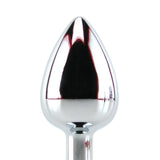 Master Series Lucent Steel Anal Plug