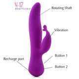 Vanity Vr17 Vibe