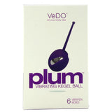 Plum Vibrating Kegel Ball in Into You Indigo