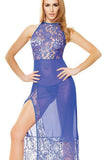 Full Length Sheer & Lace Gown in OS