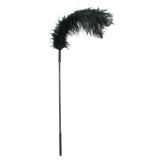 Ostrich Feather Body Tickler in Black