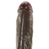 Wildfire Real Man Jel-Lee Real Cock in Dark