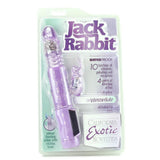 Petite Thrusting Jack Rabbit Vibe in Purple