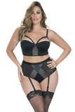 Bra & High Waisted Panty with Elastic Detail in 2X