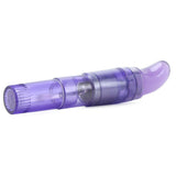 Shane's Passion Massager Vibe in Purple