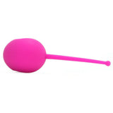 Plum Vibrating Kegel Ball in Hot in Bed Pink