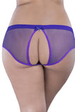 Backless Purple Fishnet Hipster Panty in 1X/2X