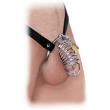 Fetish Fantasy Extreme Chastity Belt