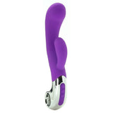Embrace Felicity Wand Vibe in Purple