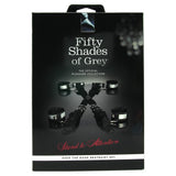 Stand to Attention Over the Door Restraint Set