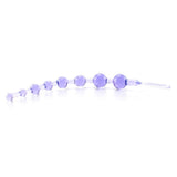 Shane's World Anal 101 Intro Beads in Purple