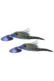 Round Sequin Nipple Covers wtih Peacock Feathers in Blue