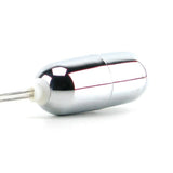 Sterling Collection Mini Silver Bullet