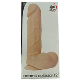 Adam's Colossal 12 Inch Cock