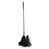 Ostrich Feather Body Tickler in Black
