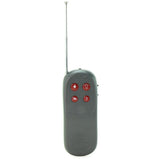 Cock Shock Remote CBT Trainer