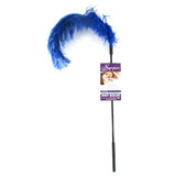 Ostrich Feather Body Tickler in Royal Blue