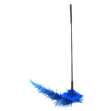 Ostrich Feather Body Tickler in Royal Blue