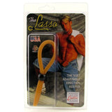 The Lasso
