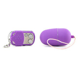 Power Mini Bullet Remote Vibe