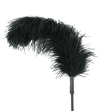 Ostrich Feather Body Tickler in Black