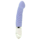 Naughty Pleasures Vibe Kit in Purple