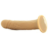 Gary Dildo in Cocoa