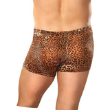 Leopard Print Pouch Short in XL